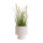 Räfflad Vase